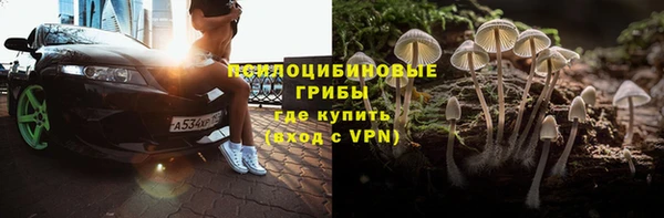 гашик Белоозёрский