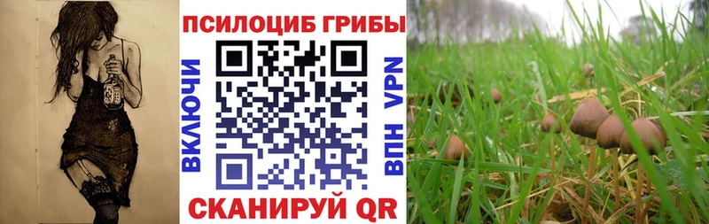 Галлюциногенные грибы Magic Shrooms  Купить закладки  Новоаннинский 